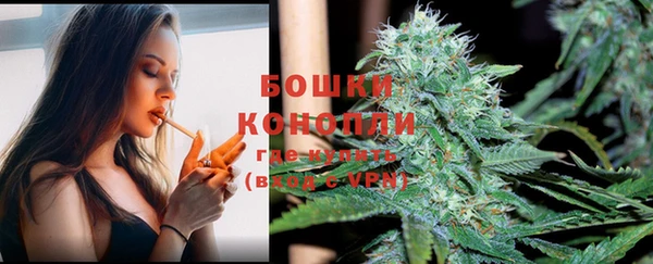 ALPHA PVP Белокуриха