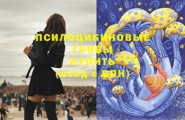 соль ск Беломорск