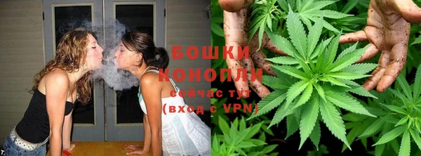 ALPHA PVP Белокуриха