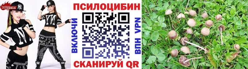 Псилоцибиновые грибы мухоморы  KRAKEN как войти  Крымск  купить закладку 